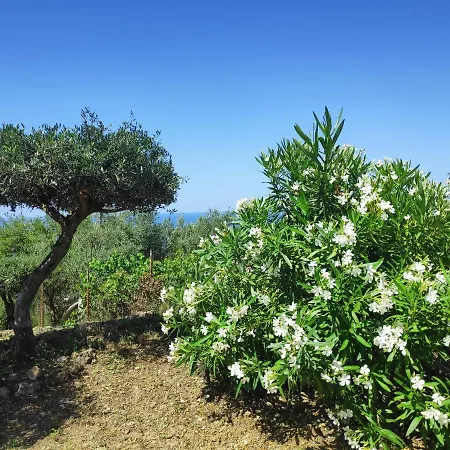 Vardia-amazing Seaviews With Heated Pool * Sinarádes